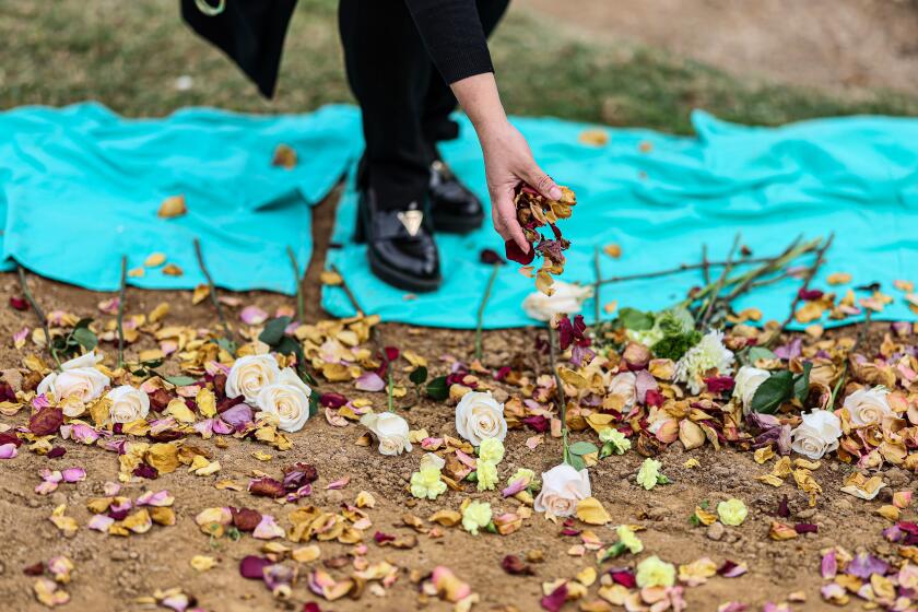 Los Angeles, CA, Thursday, Dec. 12, 2024 - The Ceremony of the Unclaimed Dead at the Los Angeles County Crematory and Cemetery, where 1,865 unclaimed decedents are laid to rest in a single communal grave, presided over by local faith leaders. Visitors drop roses and rose pedals on the grave after the service. (Robert Gauthier/Los Angeles Times)