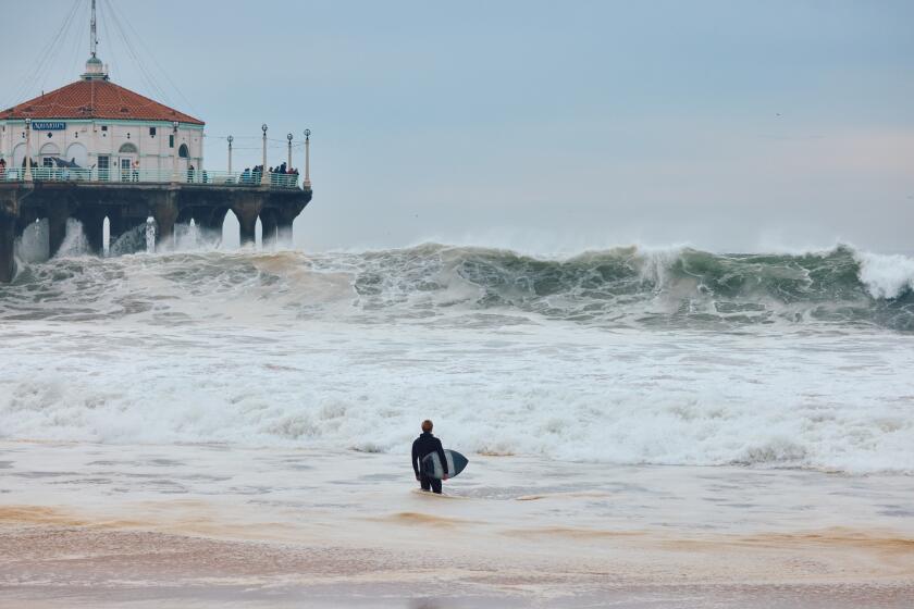 Manhattan Beach, CA - December 22:A winter swell builds up, with huge waves crashing on the shore. Manhattan Beach Pier on Sunday, Dec. 22, 2024 in Manhattan Beach, CA. (Marcus Ubungen / Los Angeles Times)